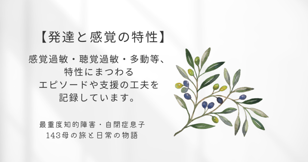 オリーブの花と発達と特性のカテゴリ紹介テキスト画像。感覚過敏・聴覚過敏・多動など、Geneの特性にまつわるエピソードや支援の工夫を記録。Exploring Gene’s sensory sensitivities and traits—how we understand, support, and live with them.